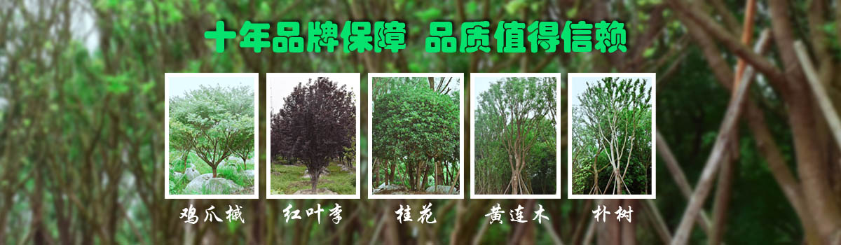 首頁輪播圖2