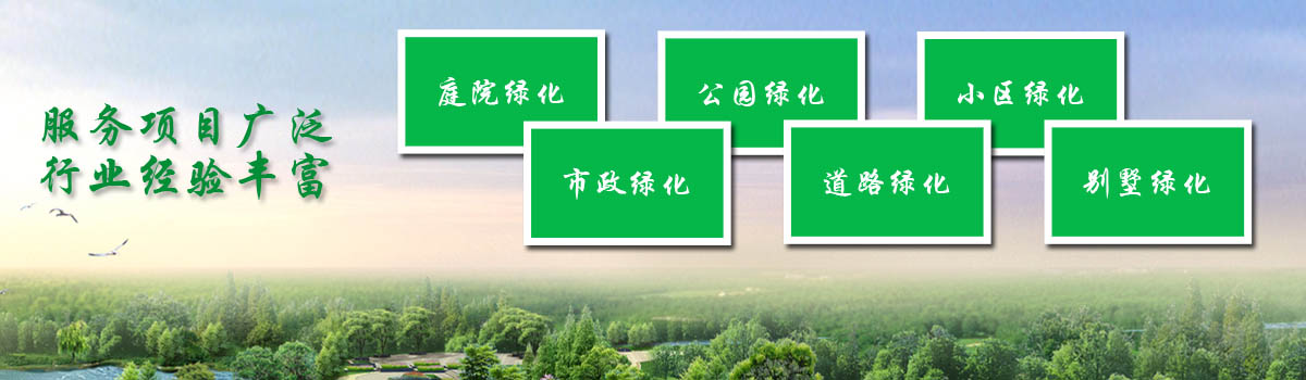 首頁輪播圖1